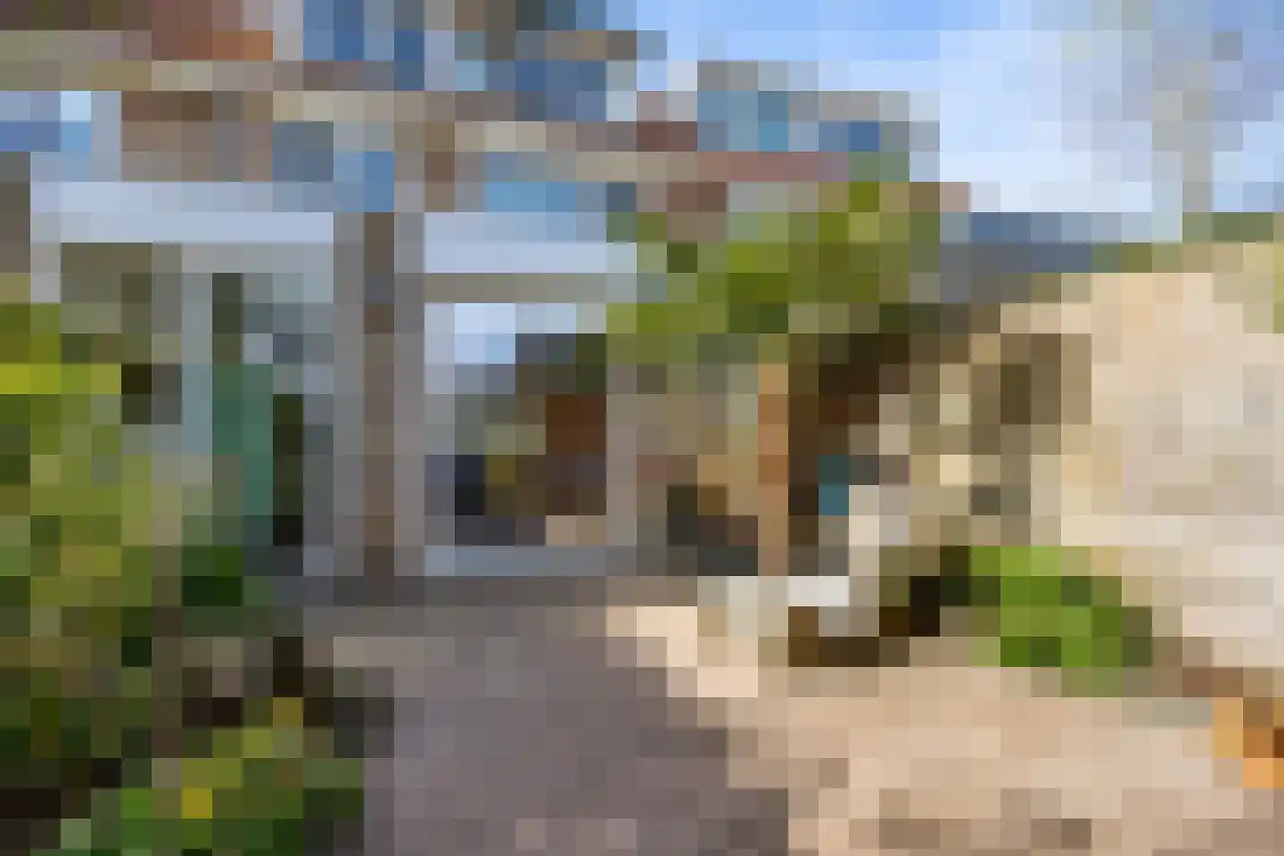 Stalkruidlaan 5 Haarlem thumbnail 18