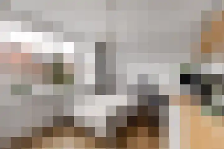 Stalkruidlaan 5 Haarlem thumbnail 20