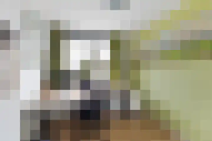 Stalkruidlaan 5 Haarlem thumbnail 22