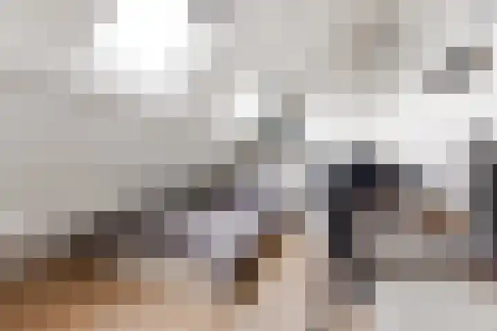 Stalkruidlaan 5 Haarlem thumbnail 27