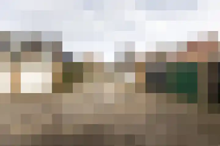 Stalkruidlaan 5 Haarlem thumbnail 29