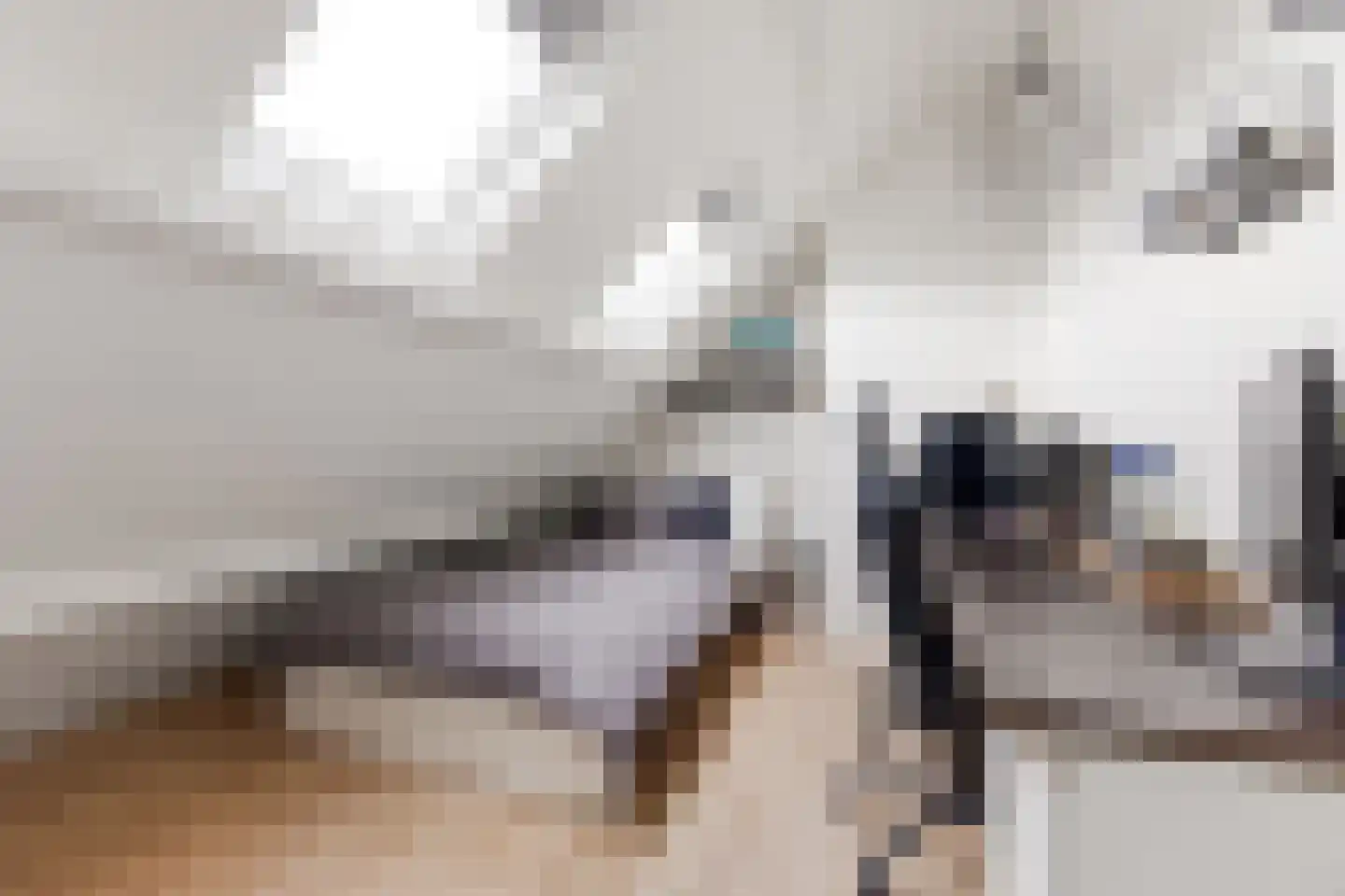 Stalkruidlaan 5 Haarlem thumbnail 30