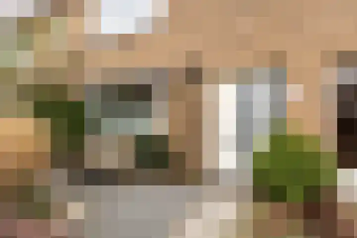 Stalkruidlaan 5 Haarlem thumbnail 30