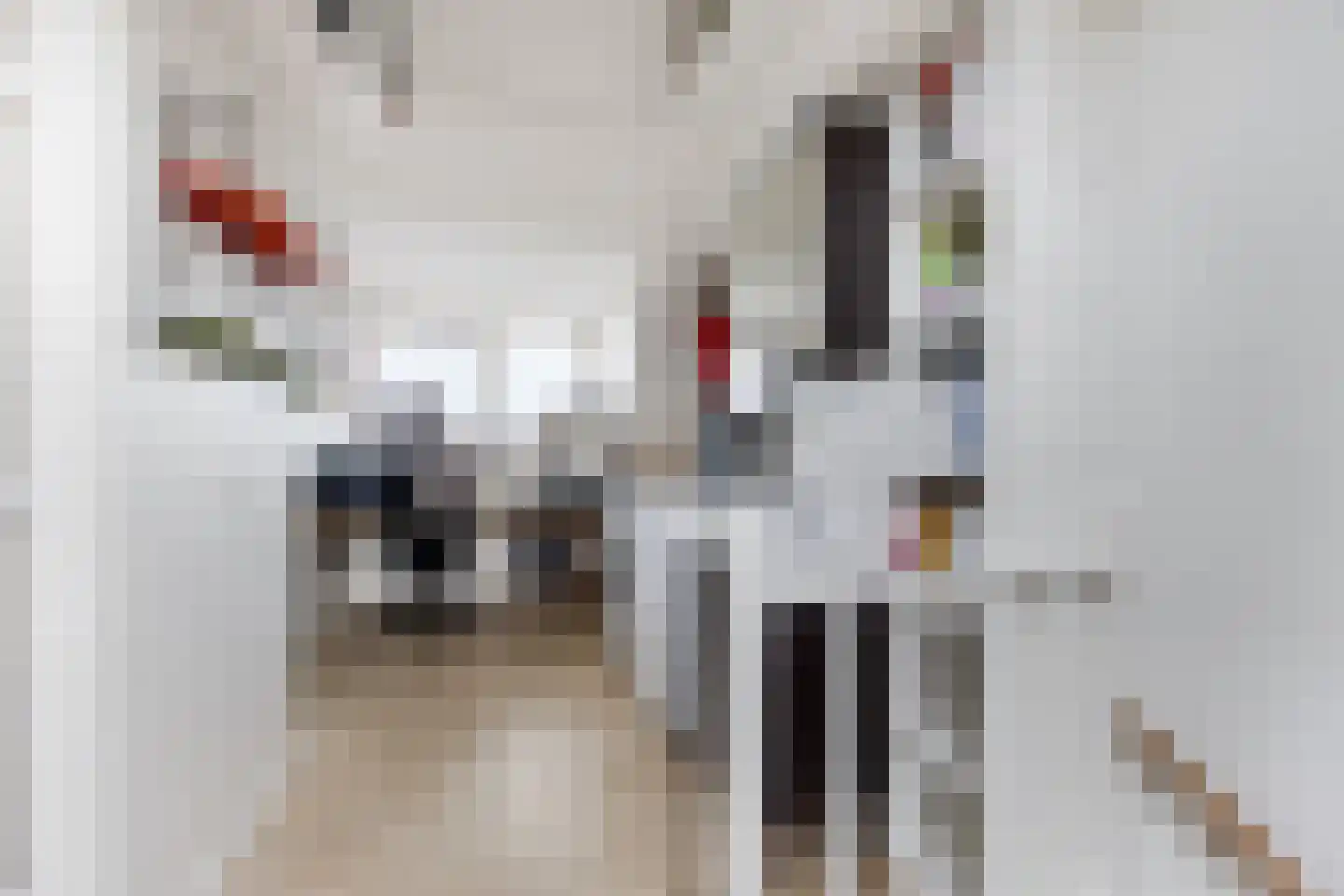 Stalkruidlaan 5 Haarlem thumbnail 31