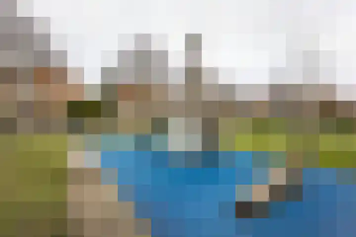 Stalkruidlaan 5 Haarlem thumbnail 31