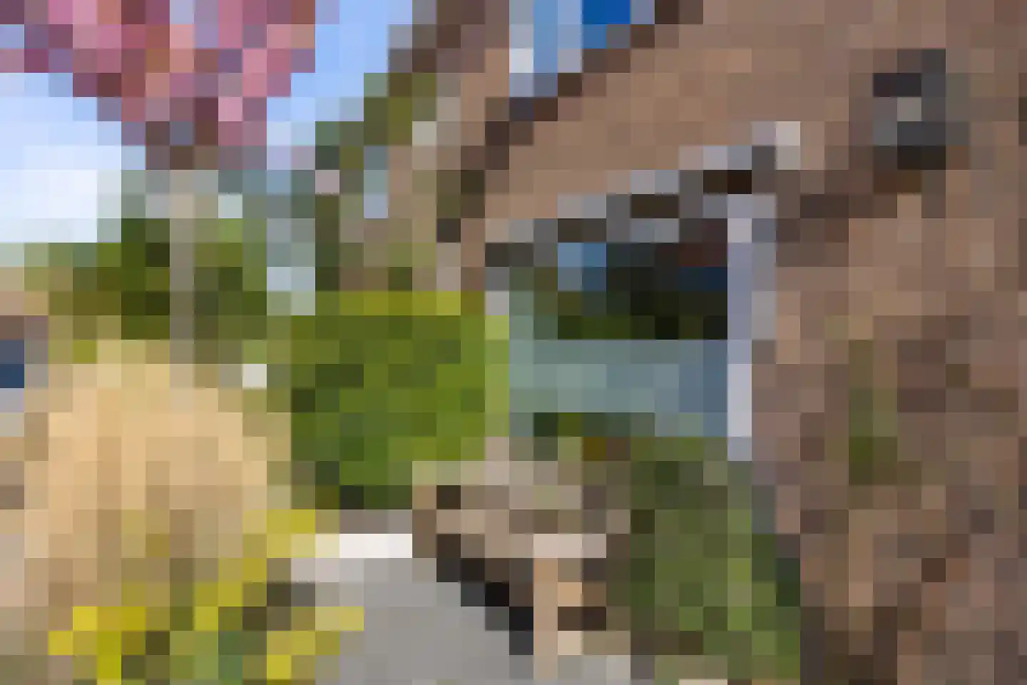 Stalkruidlaan 5 Haarlem thumbnail 32