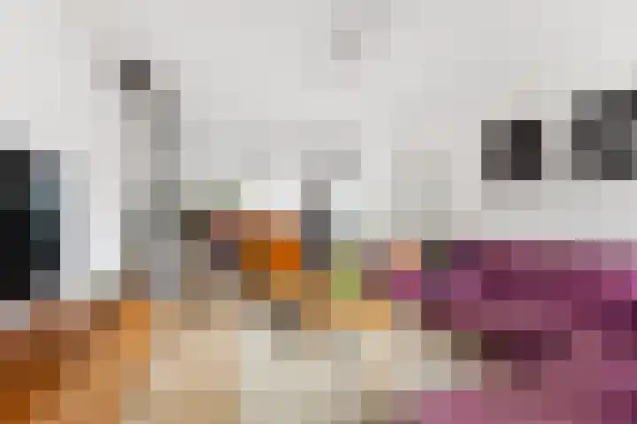 Stalkruidlaan 5 Haarlem thumbnail 5