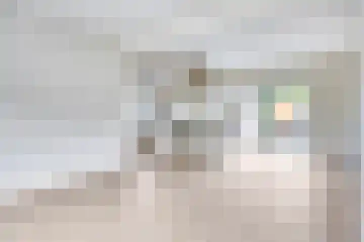 Stallestraat 13 Mheer thumbnail 5