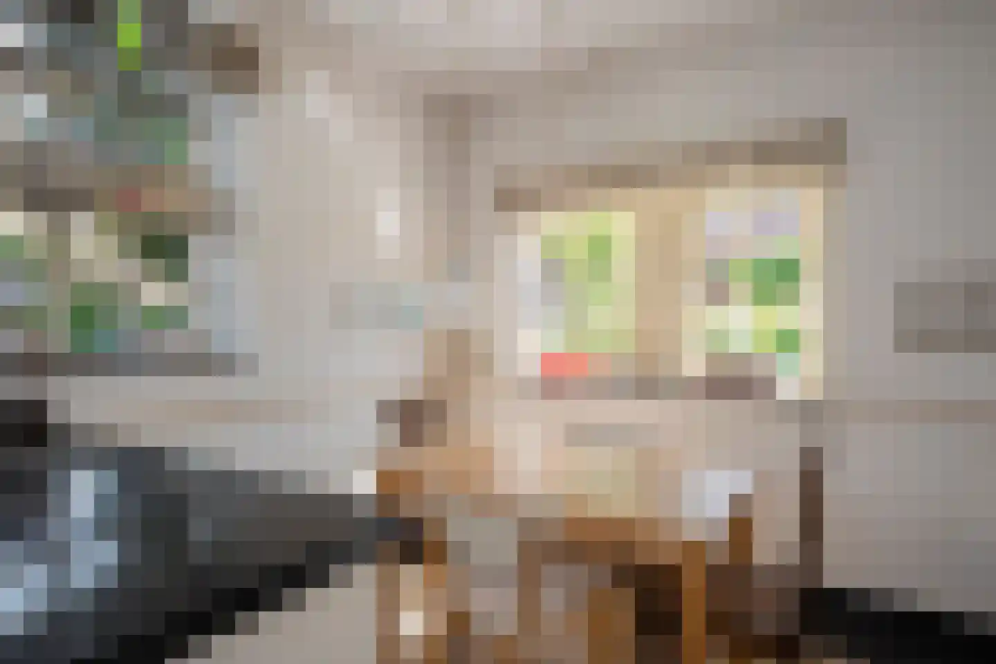 Stallestraat 5 Mheer thumbnail 10