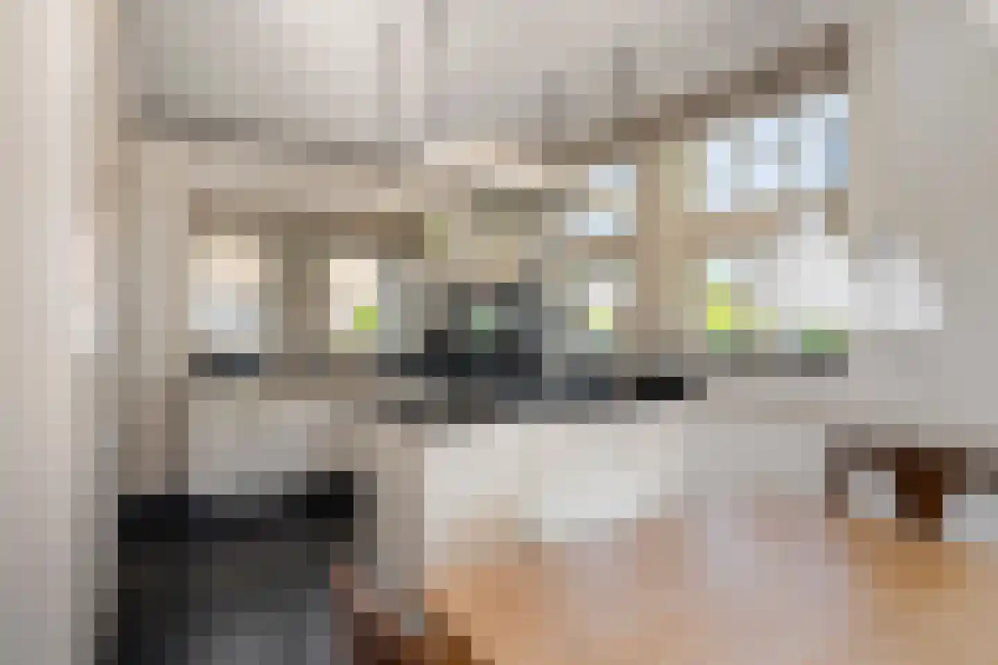 Stallestraat 5 Mheer thumbnail 11