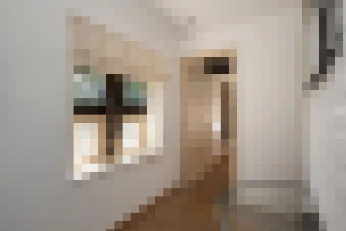 Stallestraat 5 Mheer thumbnail 16