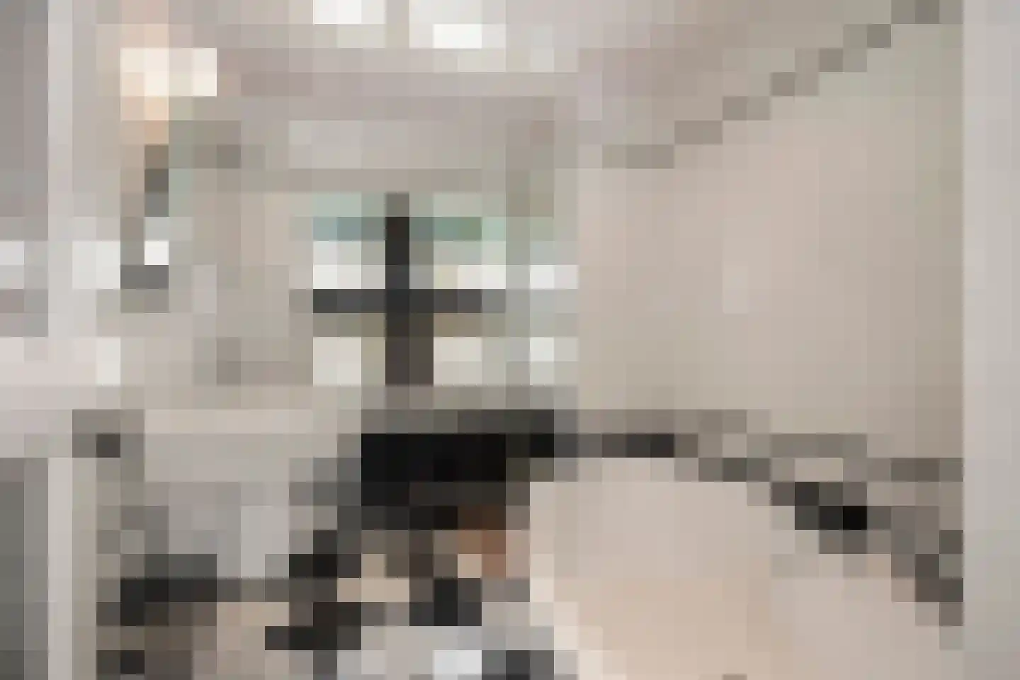 Stallestraat 5 Mheer thumbnail 19