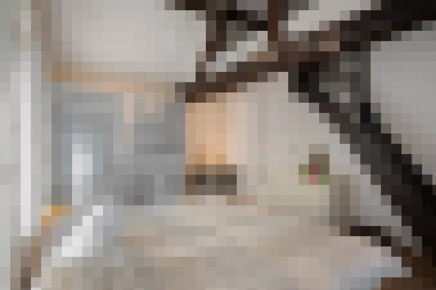 Stallestraat 5 Mheer thumbnail 23