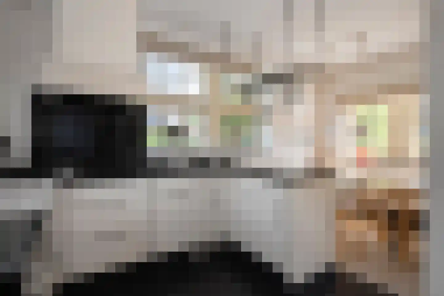 Stallestraat 5 Mheer thumbnail 7