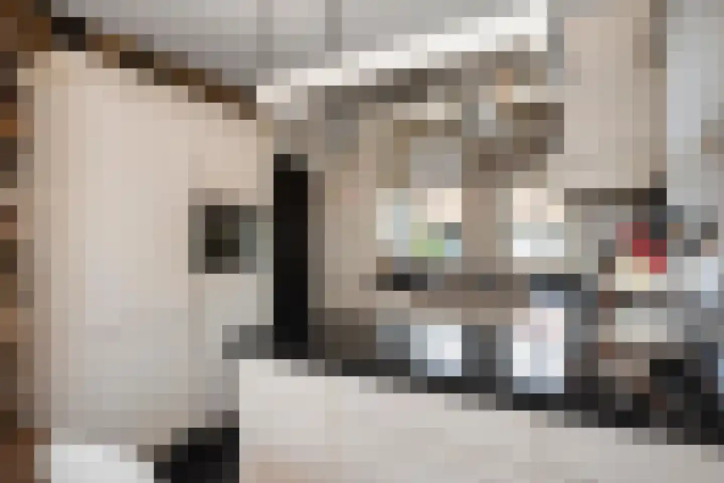 Stallestraat 5 Mheer thumbnail 9