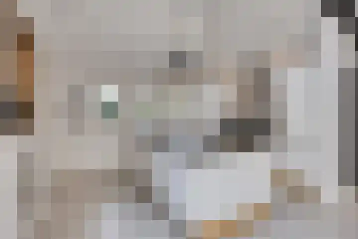 Stallinge 2 Berlicum thumbnail 13