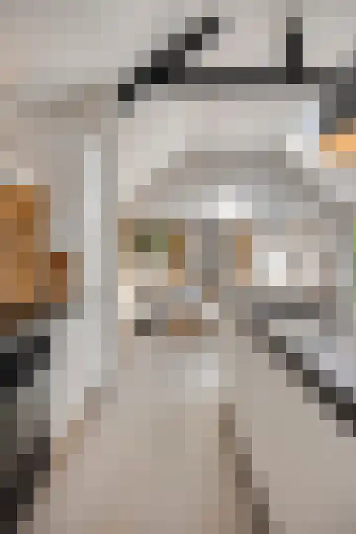 Stallinge 2 Berlicum thumbnail 14