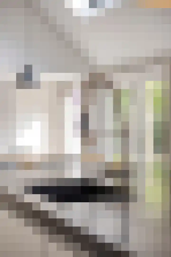 Stallinge 2 Berlicum thumbnail 15