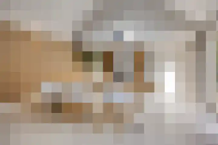 Stallinge 2 Berlicum thumbnail 16