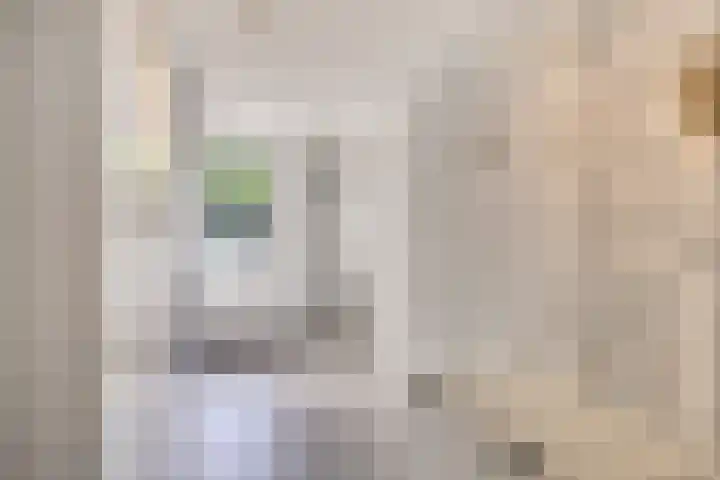 Stallinge 2 Berlicum thumbnail 21