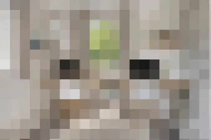 Stallinge 2 Berlicum thumbnail 22