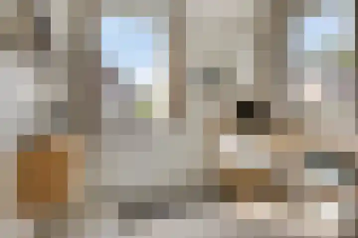 Stallinge 2 Berlicum thumbnail 23