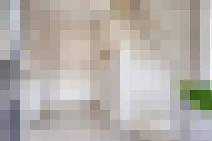 Stallinge 2 Berlicum thumbnail 26