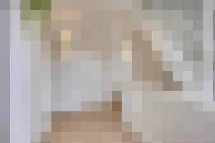 Stallinge 2 Berlicum thumbnail 28