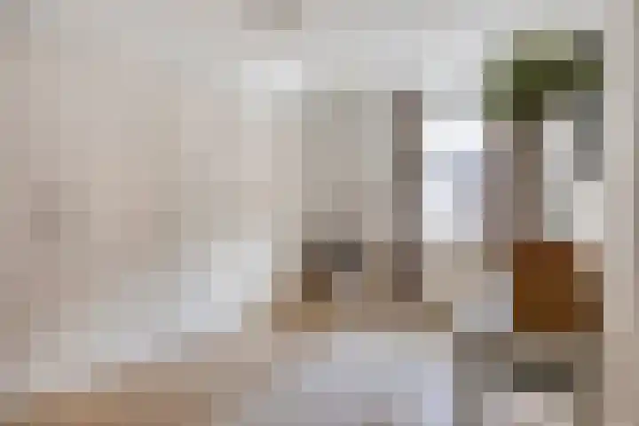 Stallinge 2 Berlicum thumbnail 32