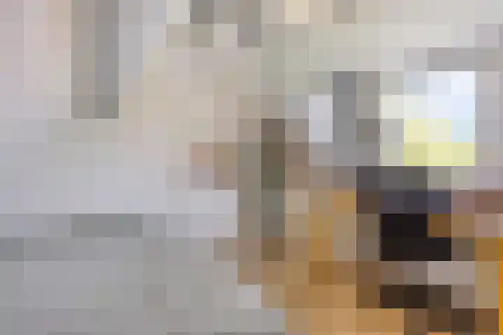 Stallinge 2 Berlicum thumbnail 44