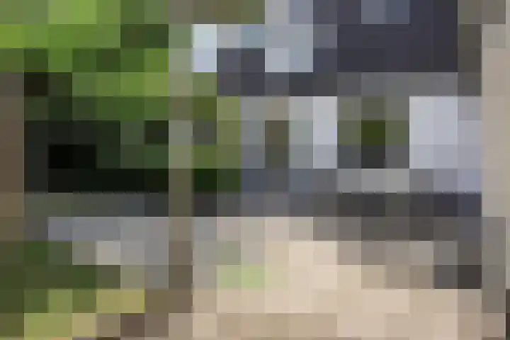 Stallinge 2 Berlicum thumbnail 46