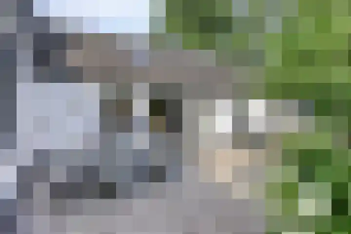Stallinge 2 Berlicum thumbnail 47