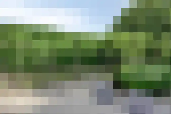 Stallinge 2 Berlicum thumbnail 48