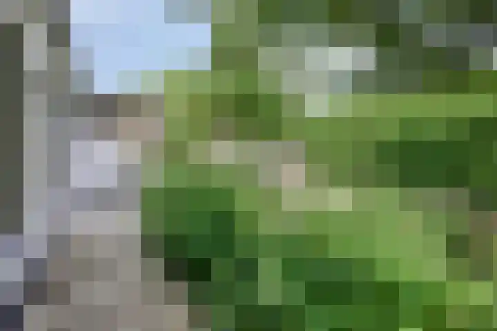 Stallinge 2 Berlicum thumbnail 50