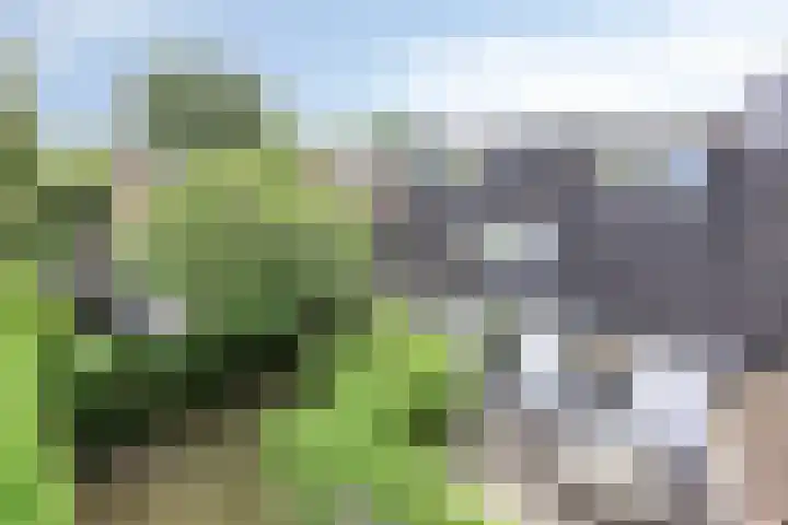 Stallinge 2 Berlicum thumbnail 51