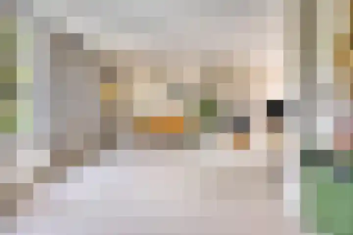 Stallinge 2 Berlicum thumbnail 6