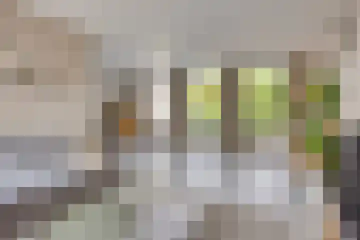 Stallinge 2 Berlicum thumbnail 8