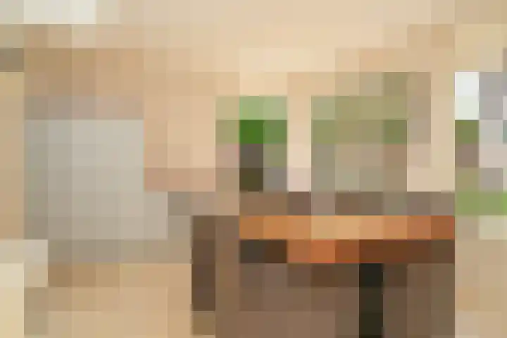 Stallinge 22 Berlicum thumbnail 11