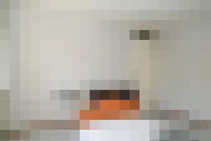 Stallinge 22 Berlicum thumbnail 15