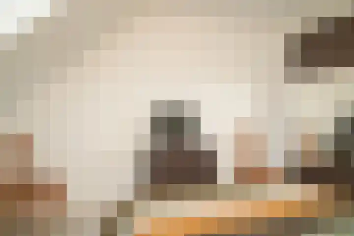 Stallinge 22 Berlicum thumbnail 18