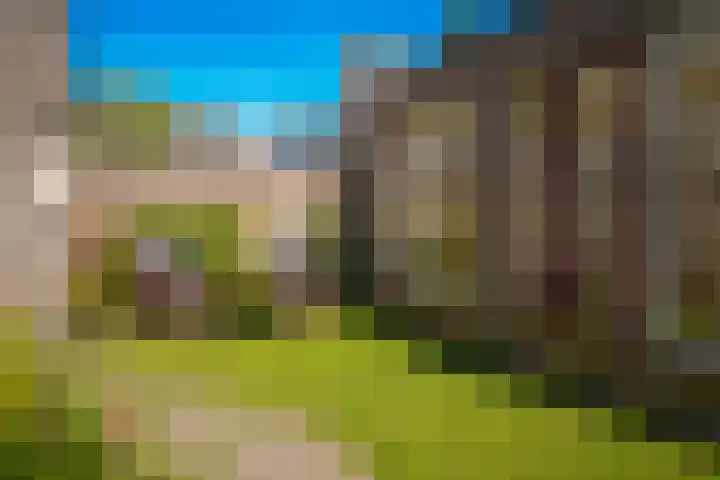 Stallinge 22 Berlicum thumbnail 25