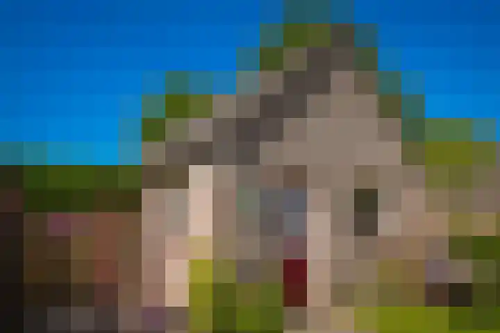 Stallinge 22 Berlicum thumbnail 26