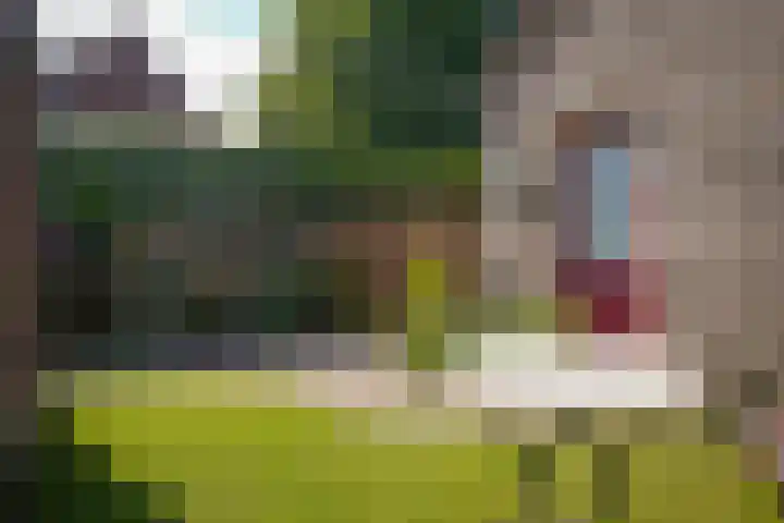 Stallinge 22 Berlicum thumbnail 28