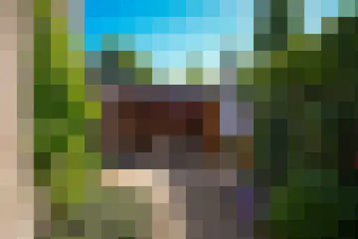 Stallinge 22 Berlicum thumbnail 29