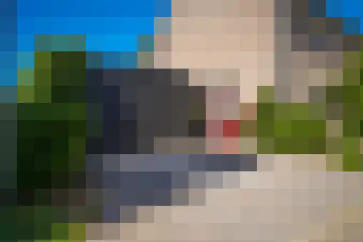 Stallinge 22 Berlicum thumbnail 31