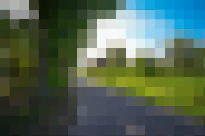 Stallinge 22 Berlicum thumbnail 36