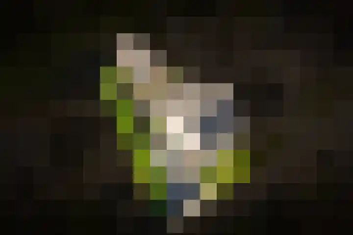 Stallinge 22 Berlicum thumbnail 37