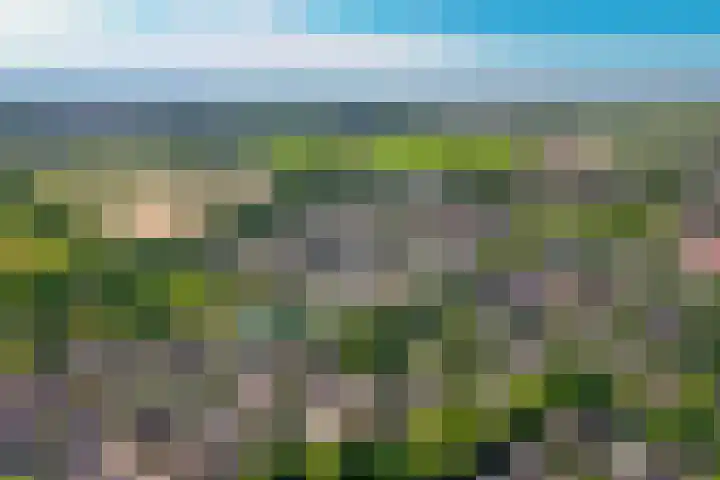 Stallinge 22 Berlicum thumbnail 38