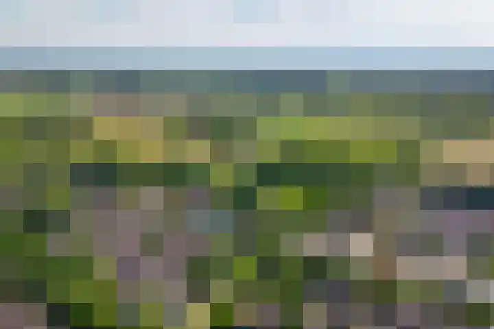 Stallinge 22 Berlicum thumbnail 39