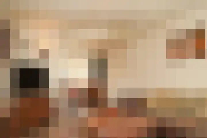 Stallinge 22 Berlicum thumbnail 5